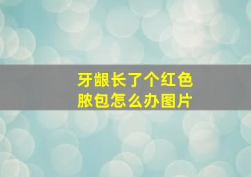 牙龈长了个红色脓包怎么办图片