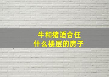 牛和猪适合住什么楼层的房子