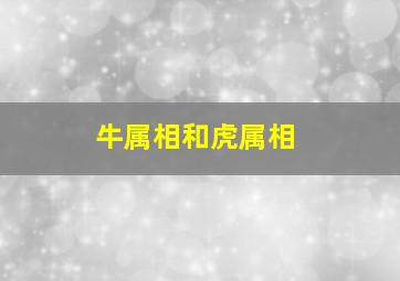 牛属相和虎属相