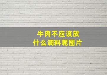 牛肉不应该放什么调料呢图片