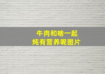 牛肉和啥一起炖有营养呢图片