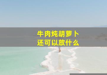 牛肉炖胡萝卜还可以放什么