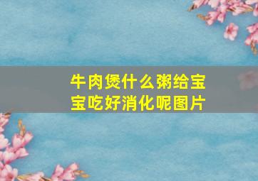 牛肉煲什么粥给宝宝吃好消化呢图片