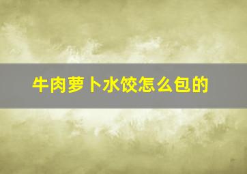 牛肉萝卜水饺怎么包的