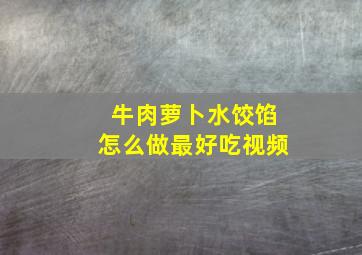 牛肉萝卜水饺馅怎么做最好吃视频