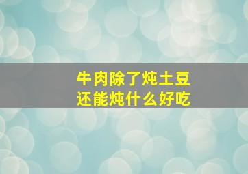 牛肉除了炖土豆还能炖什么好吃