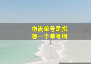 物流单号是指哪一个单号啊