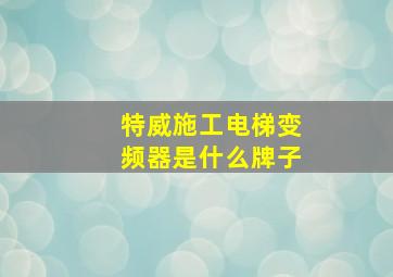 特威施工电梯变频器是什么牌子