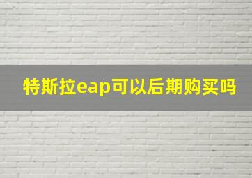 特斯拉eap可以后期购买吗