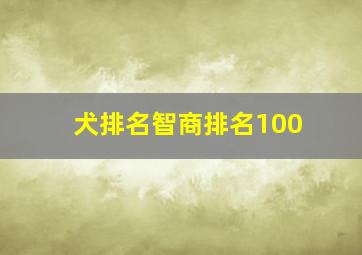 犬排名智商排名100