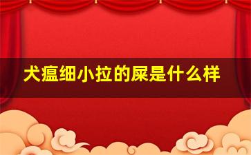 犬瘟细小拉的屎是什么样