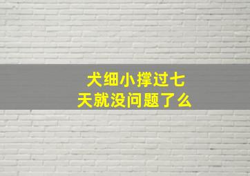 犬细小撑过七天就没问题了么