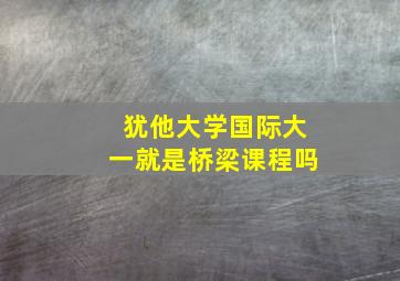 犹他大学国际大一就是桥梁课程吗