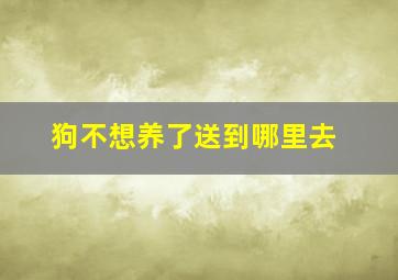 狗不想养了送到哪里去