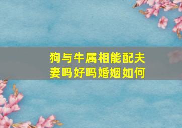 狗与牛属相能配夫妻吗好吗婚姻如何