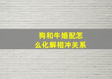 狗和牛婚配怎么化解相冲关系