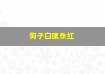 狗子白眼珠红