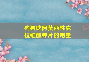 狗狗吃阿莫西林克拉维酸钾片的用量