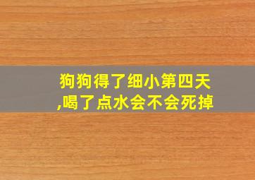 狗狗得了细小第四天,喝了点水会不会死掉