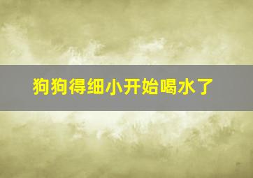 狗狗得细小开始喝水了