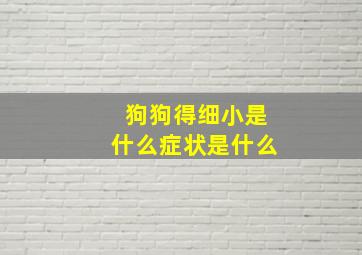 狗狗得细小是什么症状是什么