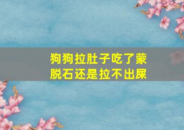 狗狗拉肚子吃了蒙脱石还是拉不出屎