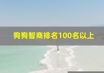 狗狗智商排名100名以上