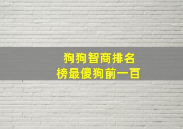 狗狗智商排名榜最傻狗前一百