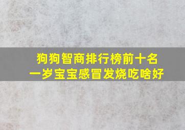 狗狗智商排行榜前十名一岁宝宝感冒发烧吃啥好