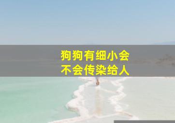 狗狗有细小会不会传染给人