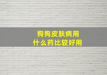 狗狗皮肤病用什么药比较好用