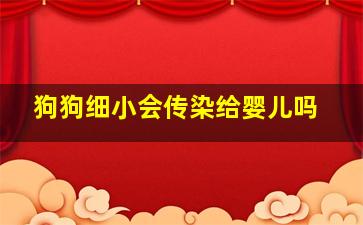 狗狗细小会传染给婴儿吗