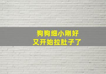 狗狗细小刚好又开始拉肚子了