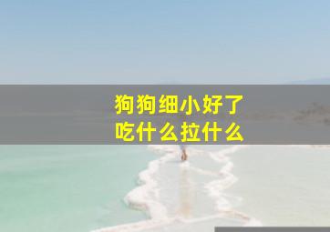 狗狗细小好了吃什么拉什么