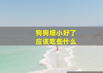 狗狗细小好了应该吃些什么