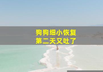 狗狗细小恢复第二天又吐了