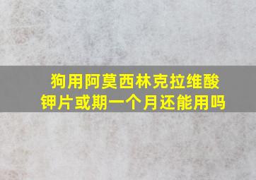 狗用阿莫西林克拉维酸钾片或期一个月还能用吗