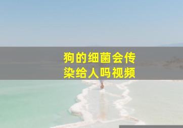 狗的细菌会传染给人吗视频