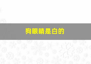 狗眼睛是白的