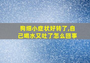 狗细小症状好转了,自己喝水又吐了怎么回事