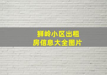 狮岭小区出租房信息大全图片