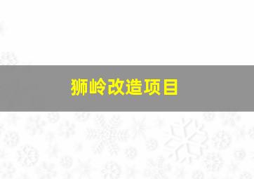 狮岭改造项目