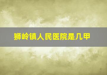 狮岭镇人民医院是几甲