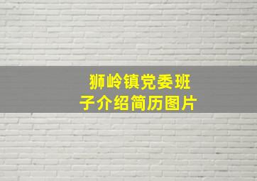 狮岭镇党委班子介绍简历图片