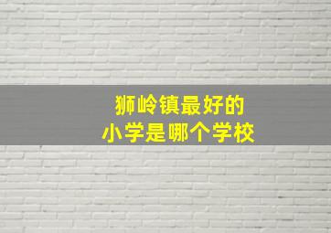 狮岭镇最好的小学是哪个学校