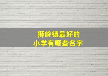 狮岭镇最好的小学有哪些名字