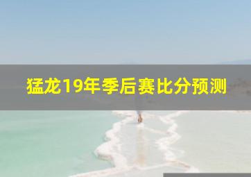 猛龙19年季后赛比分预测