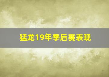 猛龙19年季后赛表现