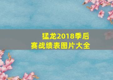 猛龙2018季后赛战绩表图片大全