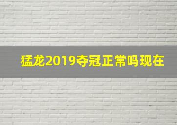 猛龙2019夺冠正常吗现在